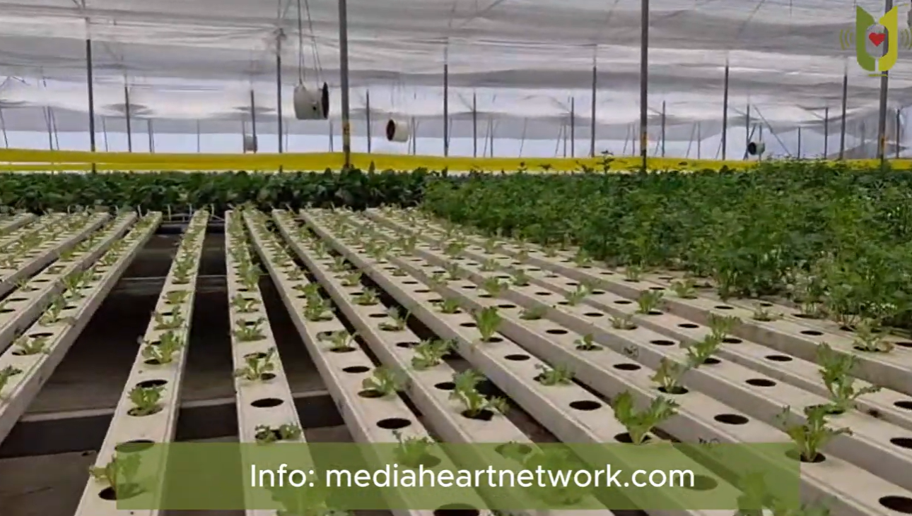 Bezoek aan Hydroponic Farm Narei tijdens CBU-bijeenkomst in Georgetown