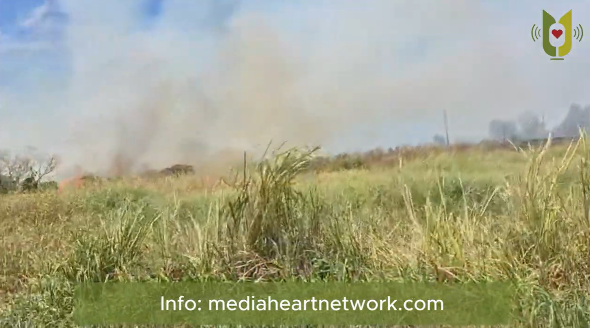 Onbekenden stichten brand op open percelen Paramaribo-Noord